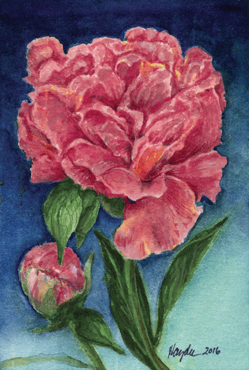 Peony2.jpg