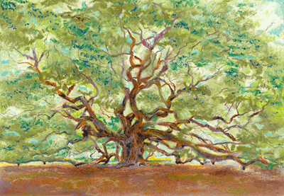 angeloak.png