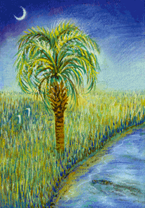 crockanpalm.png