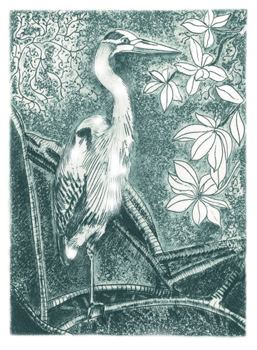 greatbluheron.jpg